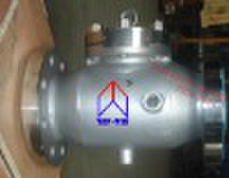 Stainless Steel Jacket Swing Check Valve