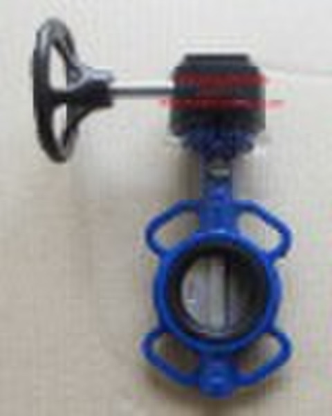 Pin Through Shaft Concentric Butterfly Valve