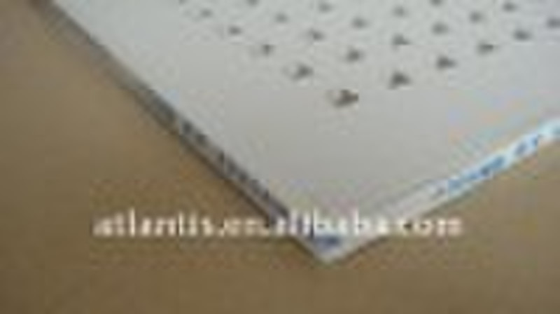 Gypsum board