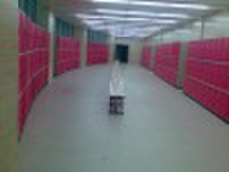 storage locker