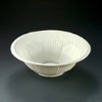 Plastic Bowl