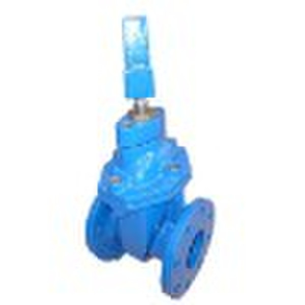 BS5163 resilient seated gate valve