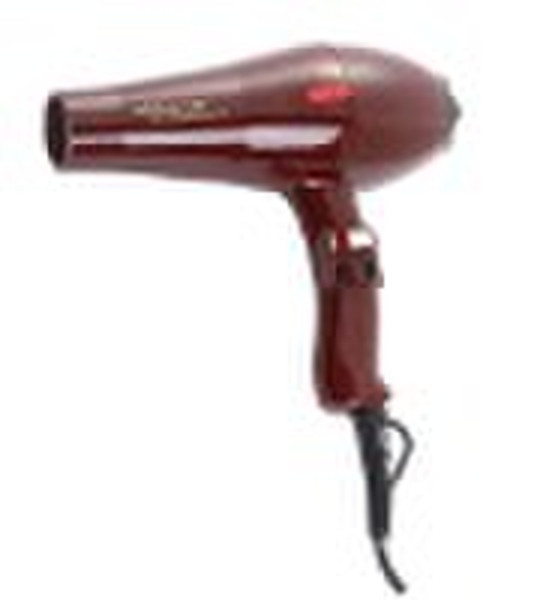 Professional Hair drier,