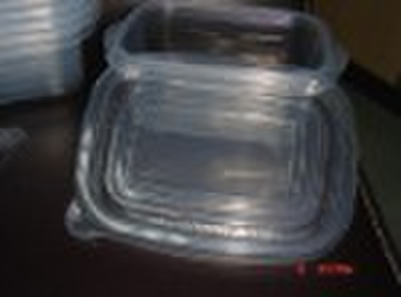 Disposable Food Container