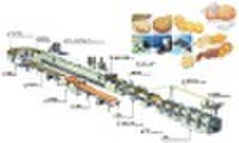 YX300-1200 Hard and Soft Biscuit Production Line