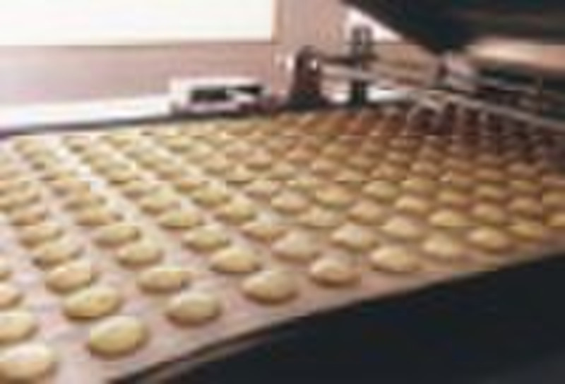YX-600,800,1000 Full Automatic Cake Production Lin