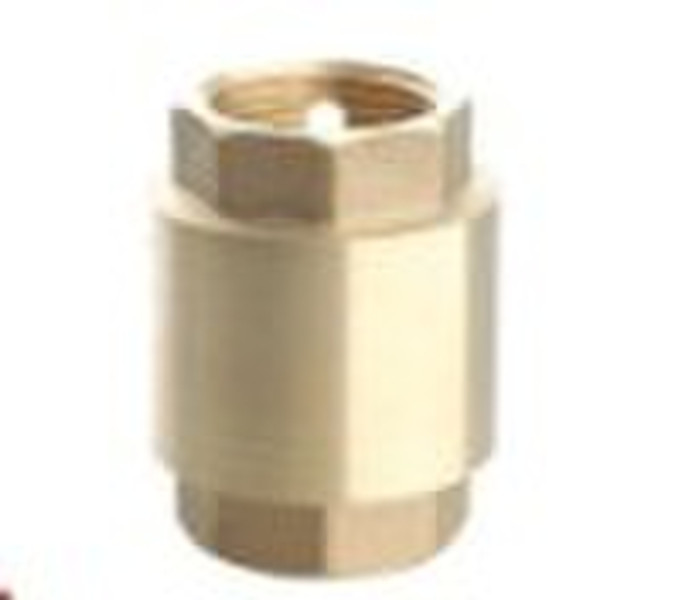 TT-4002 brass spring check valve