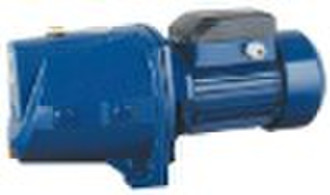 domestic water pump