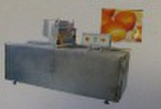 full automatic custard cake production line