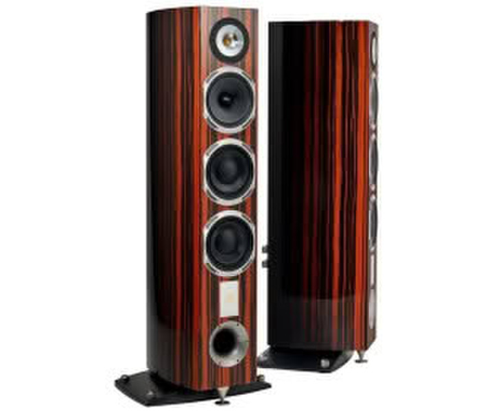 Triangle MAGELLAN Cello 40th Anniversary