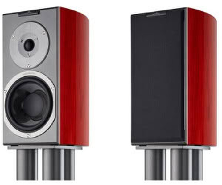 Audiovector R1 Signature rosenholz