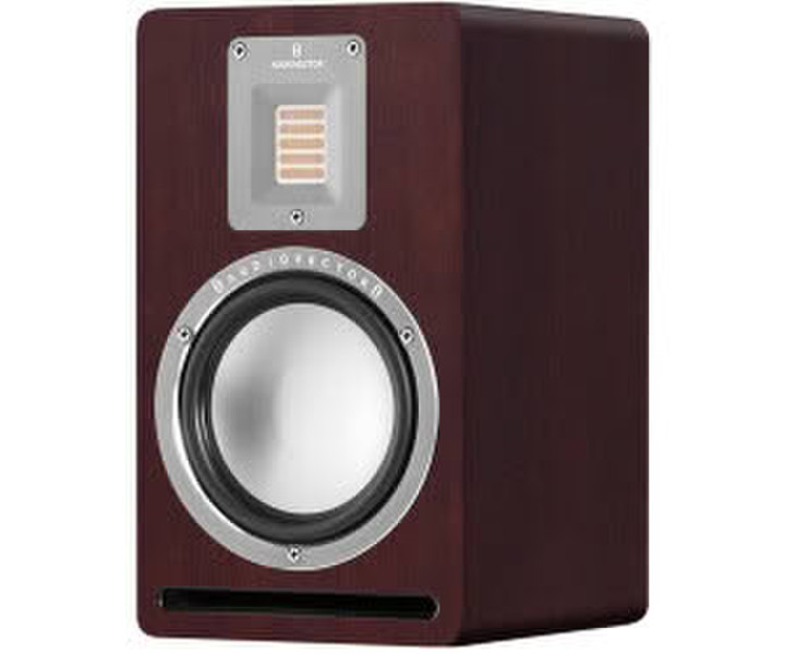 Audiovector QR1 Walnuss