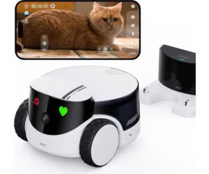 Enabot ROLA PetPal (2880 x 1620 Pixels) Netzwerkkamera Mehrfarbig (WH287304)