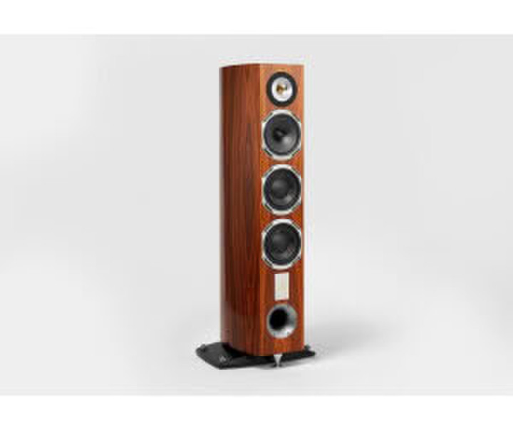 Triangle MAGELLAN Cello 40th Anniversary Golden Oak