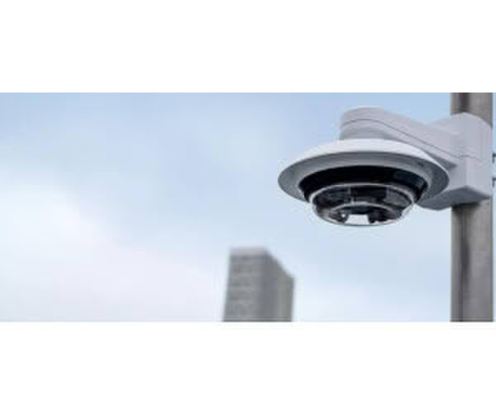 Axis Weiss (P3748-PLVE)