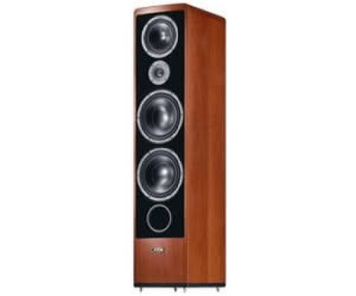 Canton Ergo 611 DC kirsche