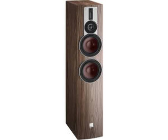 DALI Rubicon 6 walnuss