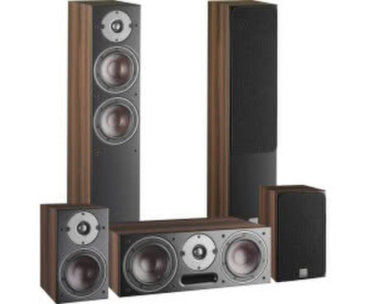 DALI Oberon 5 Nussbaum