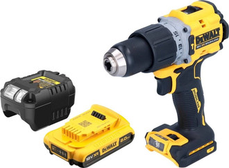 DeWalt DCD805 D1 (1 x 2,0 Ah + Ladegerät)