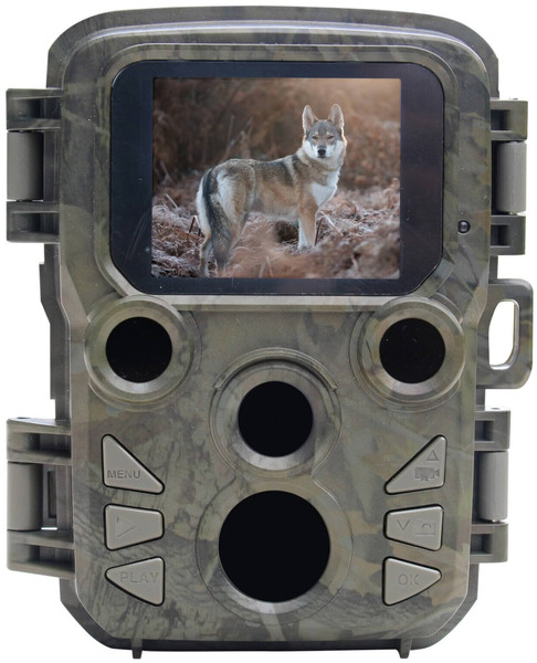 Braun Black800 (57669)