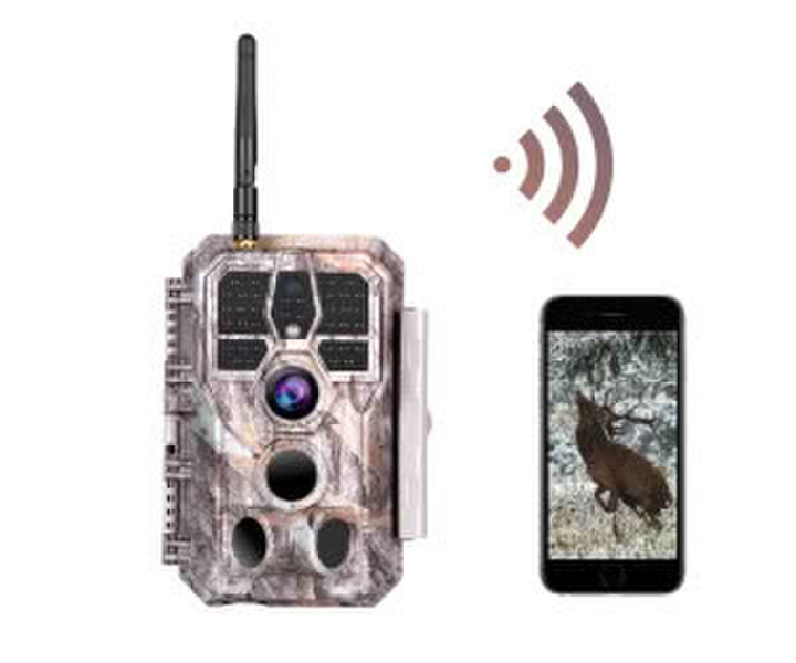 Blazevideo 1296P (A280W)