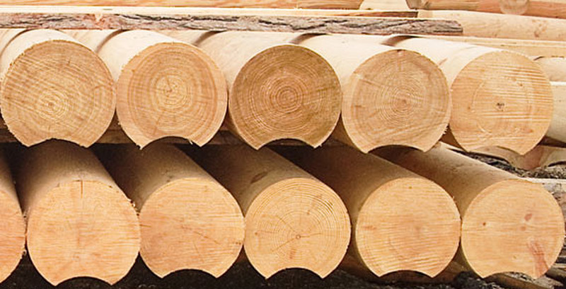 Round logs from the manufacturer _ the Siberian cedar, larch, pine