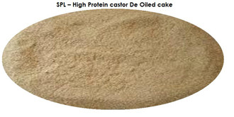 Hoher Protein-Castor De Geölt Kuchen (Castor Mahlzeit)
