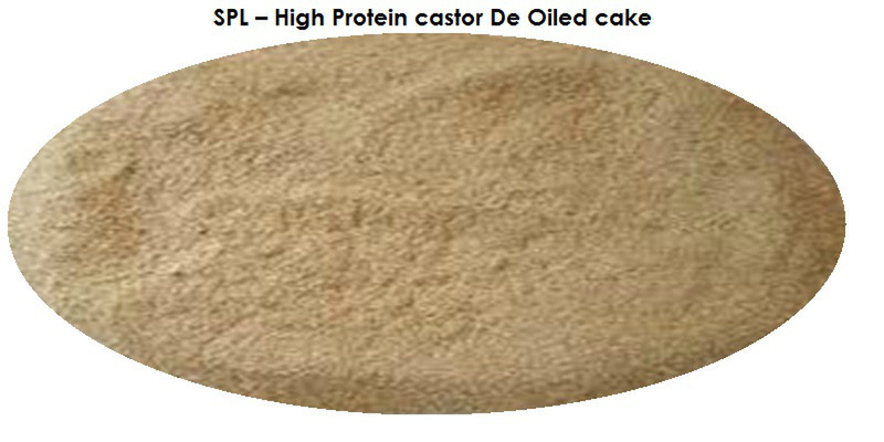 Hoher Protein-Castor De Geölt Kuchen (Castor Mahlzeit)