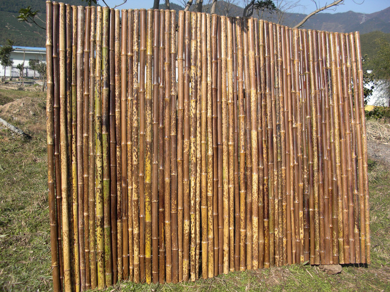 Бамбуковый забор в крапинку, пятнистые бамбуковые шесты, Тигр бамбук