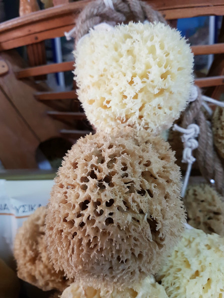 Honeycomb sponge