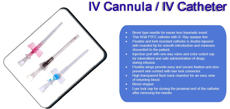 IV Cannula Manufacturer