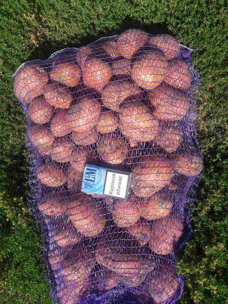 Kartoffeln aus der ukraine