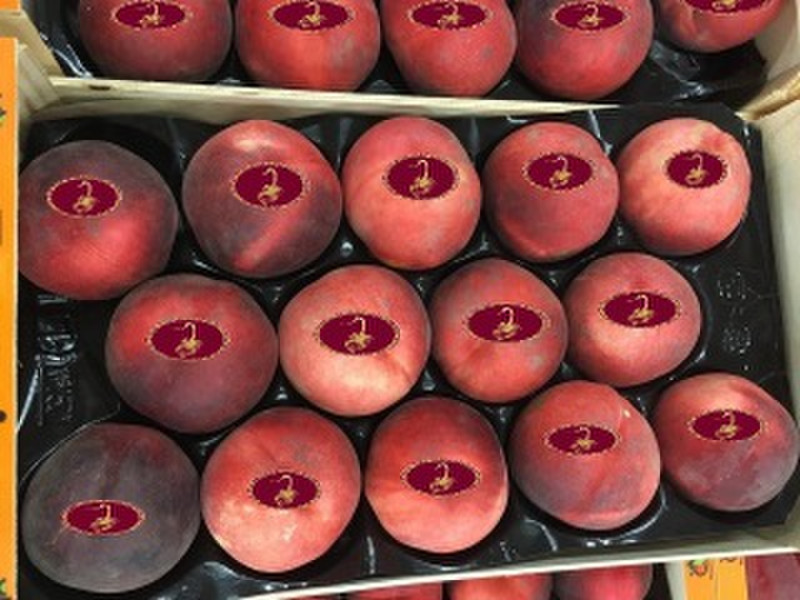 Sell peaches from Spain