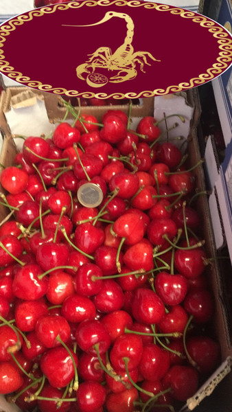 Sell cherries from Spain