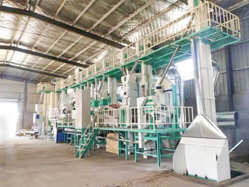 100T/D Rice Mill Plant