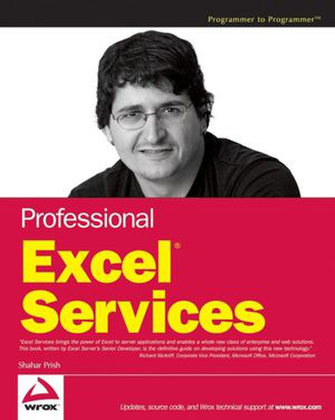 Wiley Professional Excel Services 480страниц руководство пользователя для ПО