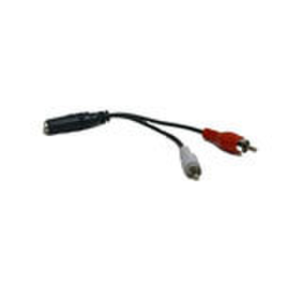 Infocus Stereo RCA (male) > 3.5mm (female) audio adapter 3.5mm RCA Black cable interface/gender adapter