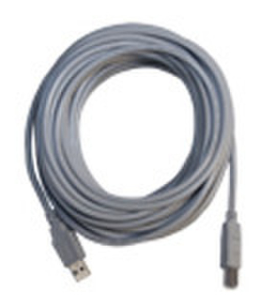 Infocus USB A/B Cable 11м USB A USB B Серый кабель USB