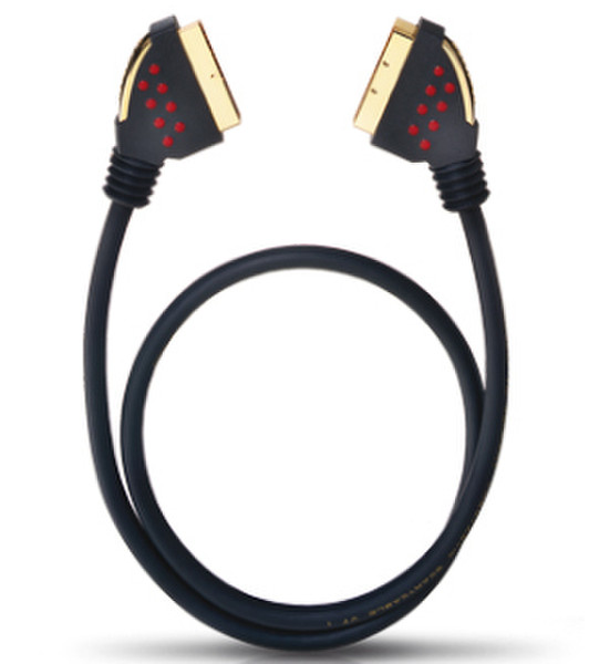 OEHLBACH 2m SCA 2003