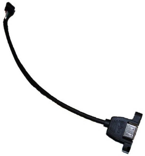 DimasTech BT032 0.25m Black USB cable
