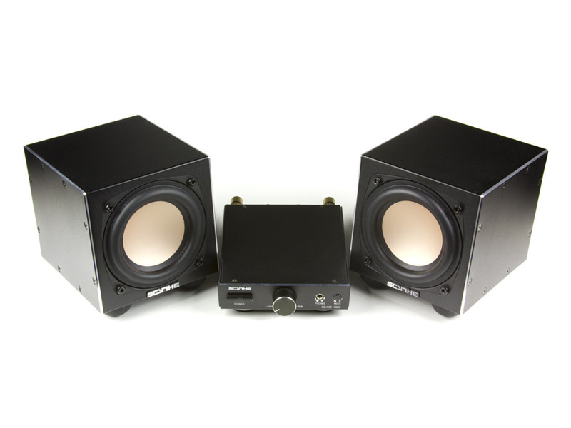 Scythe SCKCM-1000P-B 20W Black loudspeaker