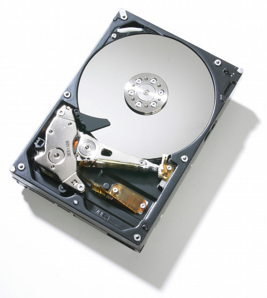 HGST Deskstar T7K500 400GB SATA-II 400GB Serial ATA II Interne Festplatte