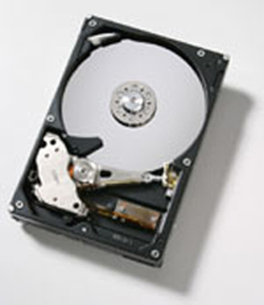 HGST Deskstar T7K250 SATA 3.0 Gb/s 160GB Serial ATA II internal hard drive