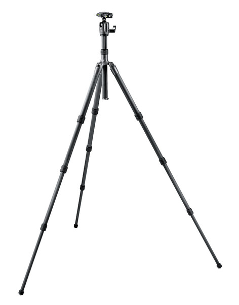 Gitzo GK2580TQR Цифровая/пленочная камера Черный штатив
