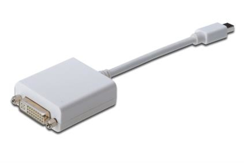 ASSMANN Electronic mini DP - DVI-D, 0.15m 0.15m mini DisplayPort DVI-D White video cable adapter