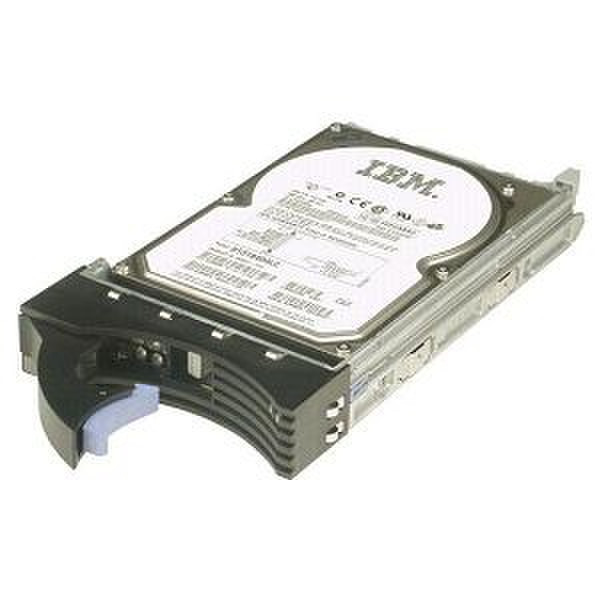 IBM Express SATA 500GB 500GB Serial ATA III