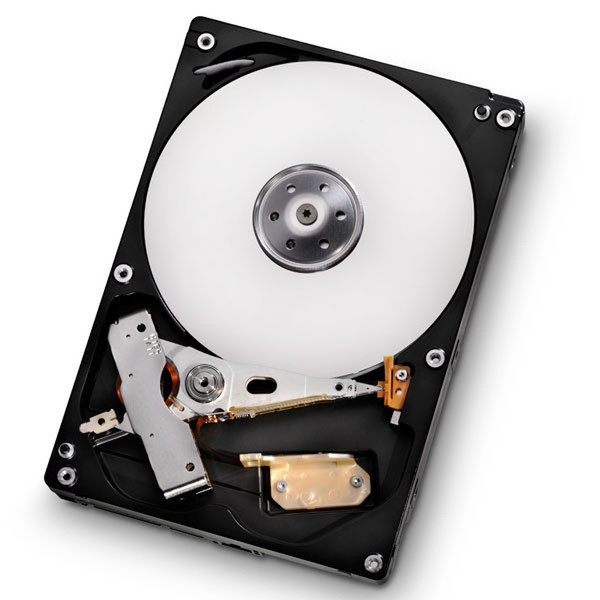 HGST Deskstar 7K1000.D