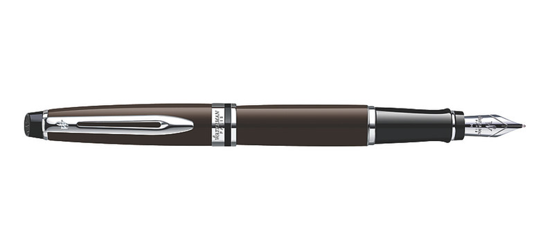 Waterman Expert Brown