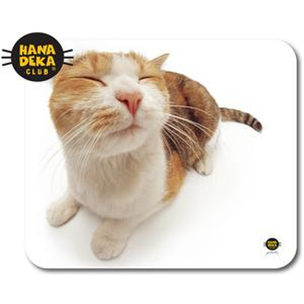 Allsop Pet Me Cat Разноцветный