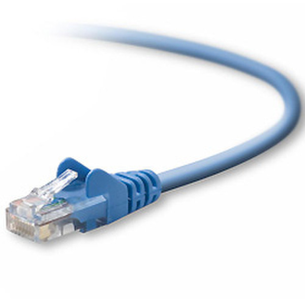 Belkin RJ45 Cat5e Patch Cable, Snagless Molded, 7.6m 7.6m Blue networking cable